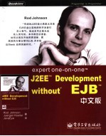 Expert one-on-one J2EE Development without EJB  中文版