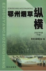 鄂州烟草纵横  2007年度  下