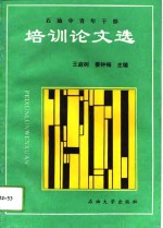 石油中青年干部培训论文选