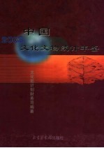 中国文化文物统计年鉴  2002