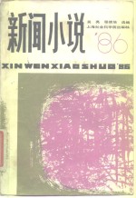 新闻小说'86