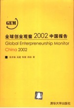 全球创业观察2002中国报告