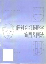 解剖组织胚胎学简图及画法