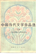 中国当代文学作品选