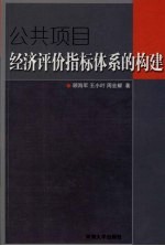 公共项目经济评价指标体系的构建