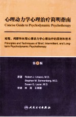 心理动力学心理治疗简明指南  短程、间断和长程心理动力学心理治疗的原则和技术