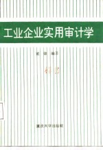 工业企业实用审计学