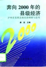 奔向2000年的县级经济  泸州市发展县级经济调研与思考