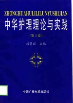 中华护理理论与实践  第2卷