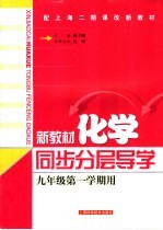 新教材化学同步分层导学  九年级  第一学期用