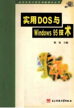 实用DOS与Windows95技术