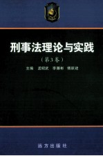 刑事法理论与实践  第3卷  第2版