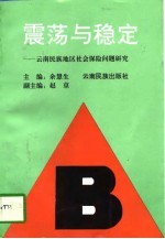 震荡与稳定  云南民族地区社会保险问题研究