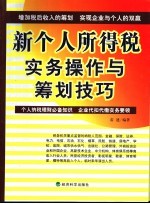 新个人所得税实务操作与筹划技巧