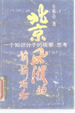 北京风波的前前后后  一个知识分子的观察·思考