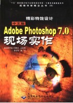 精彩特效设计 中文版Adobe Photoshop 7.0现场实作