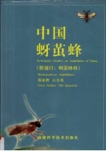 中国蚜茧蜂  膜翅目  蚜茧蜂科