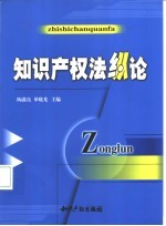 知识产权法纵论