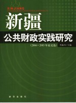 新疆公共财政实践研究  2004-2005年论文选