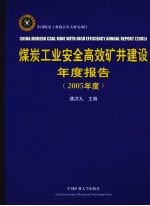 煤炭工业安全高效矿井建设年度报告  2005年度