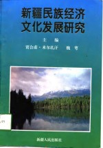 新疆民族经济文化发展研究