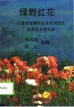 绿野红花  记蓬勃发展的北京市海淀区永丰乡乡镇企业