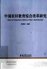 中国农村教育综合改革研究