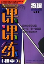 义务教育课程标准课课练丛书  物理  九年级