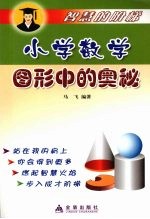 小学数学图形中的奥秘