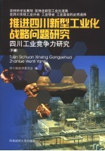 推进四川新型工业化战略问题研究  四川工业竞争力研究  下