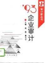 '93企业审计