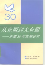 从东盟到大东盟  东盟30年发展研究