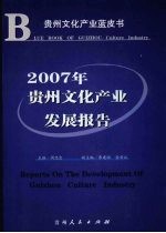 2007年贵州文化产业发展报告