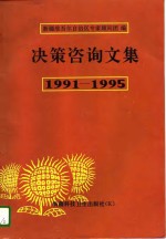 决策咨询文集  1991-1995