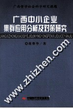 广西中小企业集群应用分析及对策研究