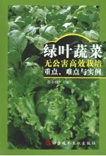 绿叶蔬菜无公害高效栽培重点、难点与实例