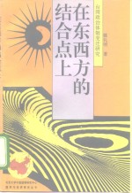 在东西方的结合点上  台湾政治体制变迁研究