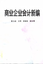 商业企业会计新编