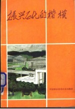 振兴石化的楷模  中国石化总公司先进集体和劳动模范事迹选编