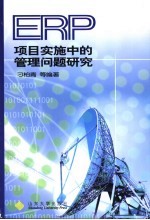 ERP项目实施中的管理问题研究