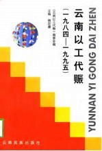 云南以工代赈  1984-1995