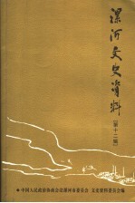 漯河文史资料  第12辑