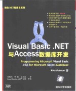 Visual Basic .NET与Access数据库开发