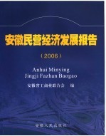 安徽民营经济发展报告  2006