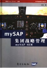 mySAP集团战略管理