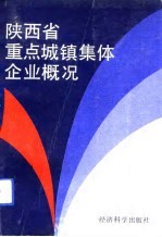 陕西省重点城镇集体企业概况