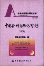 中国会计国际化专题  2004