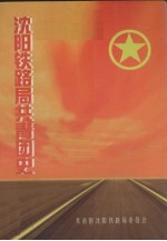 沈阳铁路局共青团史  1949.4-1999.4