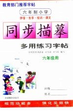 六年制小学生生字组词同上学描摹多用练习字帖  六年级用