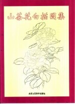 山茶花白描图集